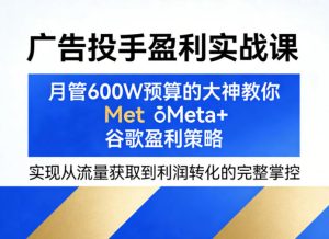 广告投手盈利实战课，月管600W预算的大神教你Meta+谷歌盈利策略，实现从流量获取到利润转化的完整掌控-最全项目网
