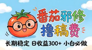 番茄撸金术：日入300+稳如泰山！独家玩法曝光，操作门槛极低，无需经验，小白闭眼上车【揭秘】-最全项目网