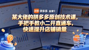 某大佬的拼多多原创技术课，手把手教小二开直通车，快速提升店铺销量-最全项目网