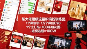 某大佬超级流量IP搞钱训练营，1个微信号+1万个微信好友+1个主打品+100条朋友圈-短视选题=100W-最全项目网