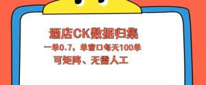 上班也能玩的酒店CK数据归集，一单0.7单窗口每天可做100单，一个人就能矩阵操作【揭秘】-最全项目网