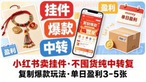 小红书卖挂件，不囤货纯中转复制爆款玩法，单日盈利3-5张-最全项目网