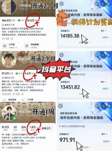 抖音17W粉丝博主亲授AI作图实战教学，0基础轻松学，可入创作者伙伴计划，接单收徒双增收-最全项目网