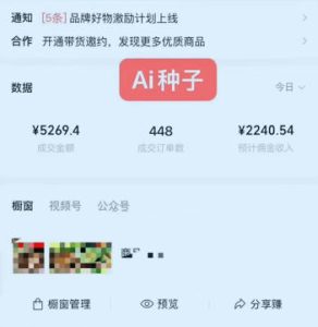 视频号AI种子带货，0粉0保证金就可做，人人能做，实操日入1k+-最全项目网