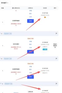 【超强副业】淘宝超高价女装项目：1单賺1k+，可工作室放大（共52节）-最全项目网