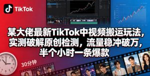 某大佬最新TikTok中视频搬运玩法，实测破解原创检测，流量稳冲破万，半个小时一条爆款-最全项目网