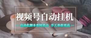 视频号自动挂G项目,自动化脚本省时省力,手工单价更高,日入300+全网最稳【揭秘】-最全项目网