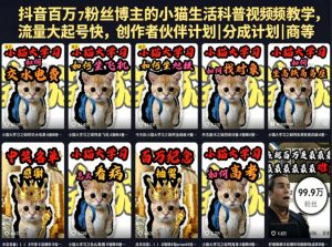 抖音百万粉丝博主的小猫生活科普视频教学,流量大起号快,创作者伙伴计划|分成计划|商单|收徒等-最全项目网
