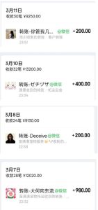 宠物托运阳光赛道賺钱教学,小众高刚需冷门项目,日均10单稳定盈利,单均利润200+-最全项目网