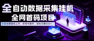 全自动数据采集挂G,全网首码项目,简单易操作,小白也能轻松上手,多账号操作,轻松日入500+【揭秘】-最全项目网