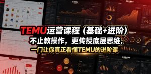 TEMU运营课程(基础+进阶),不止教操作,更传授底层思维,一门让你真正看懂TEMU的进阶课-最全项目网