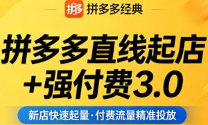 拼多多直线起店+强付费3.0,教你稳定起店、高效控投产、破解流量瓶颈(更新6月)-最全项目网