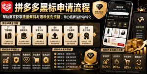 拼多多黑标申请流程，帮助商家获取流量倾斜与活动优先资格，助力品牌溢价与转化-最全项目网