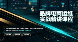 品牌电商运维实战精讲课程|吃透电商品牌落地逻辑、穿越行业周期、搭建长效变现运营体系-最全项目网