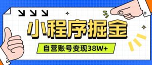 微信小程序掘金,团队自营小程序累计变现38W+,稳定运营三年,一部手机即可操作【揭秘】-最全项目网