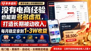 没有电商经验也能做多多虚拟,打造长期被动收入,每月稳定拿到1-3W收益【揭秘】-最全项目网