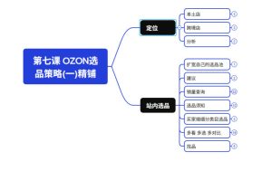 2026最新OZON全流程运营实操跨境电商平台教程,OZON全流程一站式系统学习必修课,从开店到跟卖到精铺-最全项目网