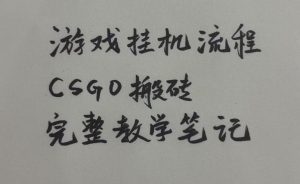 游戏挂G全流程笔记分享,CSGO游戏搬砖,小白看了当天学会见收益【揭秘】-最全项目网