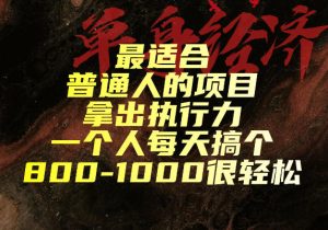 最适合普通人的项目,拿出执行力一个人每天搞个800-1k很轻松【揭秘】-最全项目网