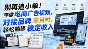 别再追小单!学做电商广告视频,对接品牌拿月付,轻松躺賺稳定收入【原创双语字幕】-最全项目网