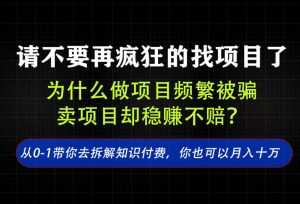 找项目?别傻了!卖项目才是真的一本万利!看完你全都懂了【揭秘】-最全项目网