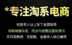 松鼠会电商VIP课程,从基础布局到高阶优化,助你掌握淘宝运营逻辑,提升店铺流量与转化(更新0823)-最全项目网