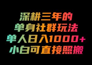 深耕三年的单身社群玩法,单人日入1000+,小白可直接照搬!【揭秘】-最全项目网