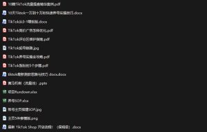 TikTok从0-1实操资料包：养号SOP+爆款公式+投流手册，新手30天可起号变现，抓住TikTok流量红利-最全项目网
