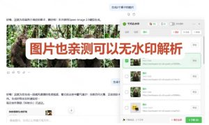 太香了!这款千问视频/图片去水印神器,一键搞定烦人水印,本地完全免费,浏览器拓展插件-最全项目网