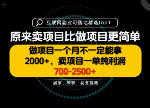 一单利润700-2.5K+,为什么我们要卖项目而不是做项目,我们普通人应该怎样开始?【揭秘】-最全项目网