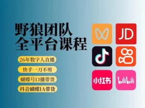 野狼团队2026新版全平台短视频带货教学,打开流量突破口,开始Ai带货(更新0913)-最全项目网