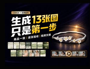 一张商品图,跑出13张电商图和15秒视频方案:这套Skill到底怎么工作?-最全项目网