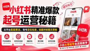 小红书精准爆款起号运营秘籍，从平台底层算法、账号定位包装、选题对标图文剪辑，小白从零起号全流程-最全项目网